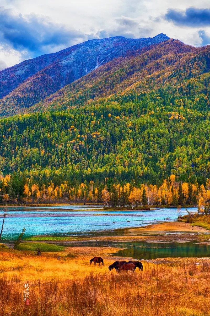 新疆，嘉宾云集，观众热情如火